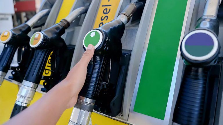 Flex Fuel in India: Can it End Petrol Monopoly and Price?